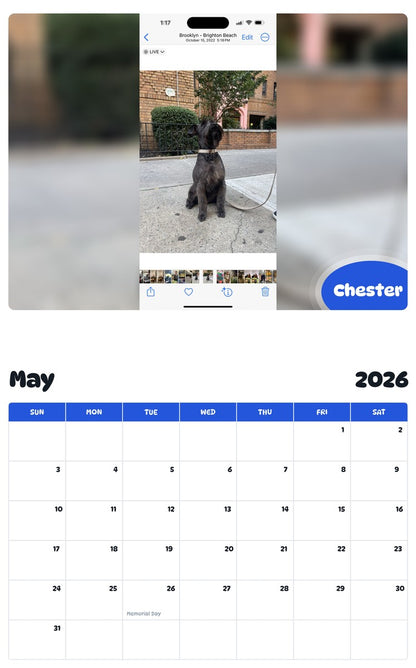 2026 - 2027 Chester - Pawidols Pet Calendar