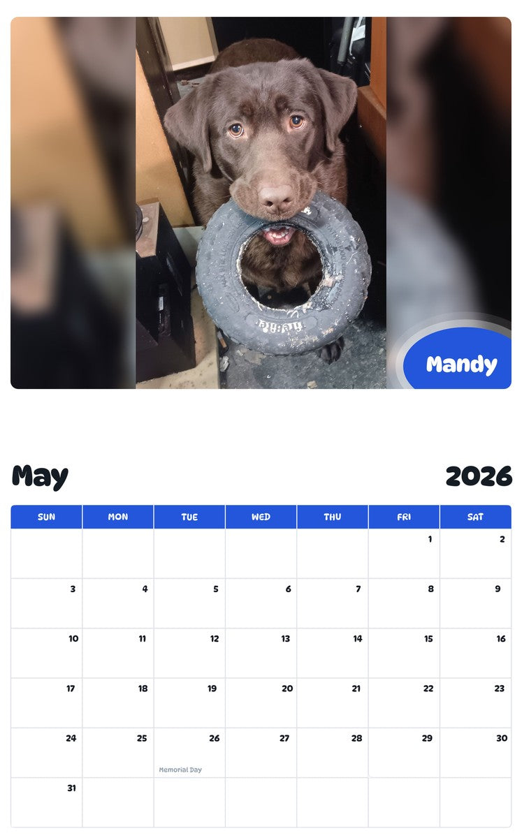2026 - 2027 Mandy - Pawidols Pet Calendar