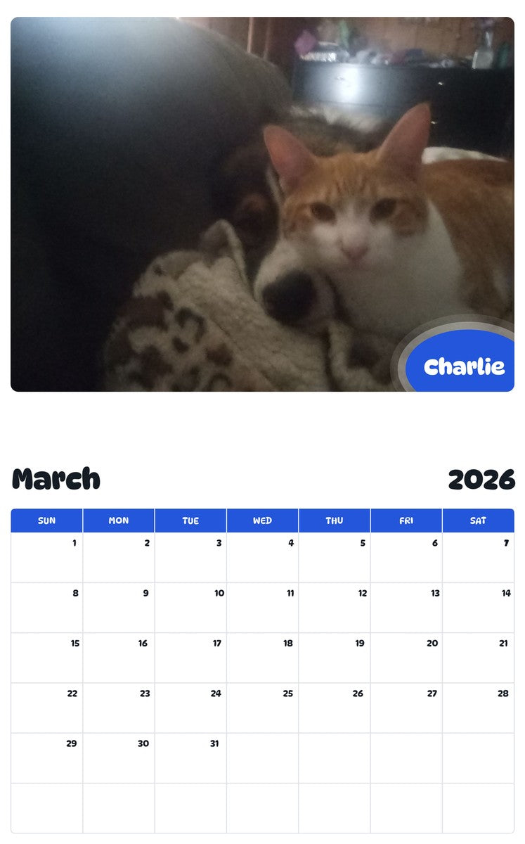 November 2025 - October 2026 Charlie - Pawidols Pet Calendar
