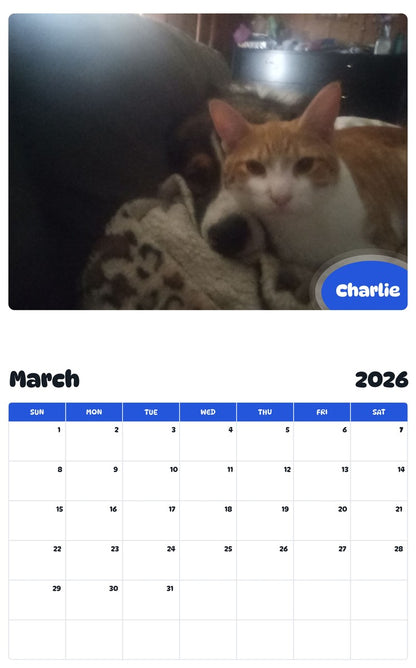 November 2025 - October 2026 Charlie - Pawidols Pet Calendar