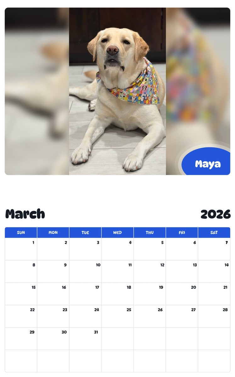 November 2025 - October 2026 Maya - Pawidols Pet Calendar