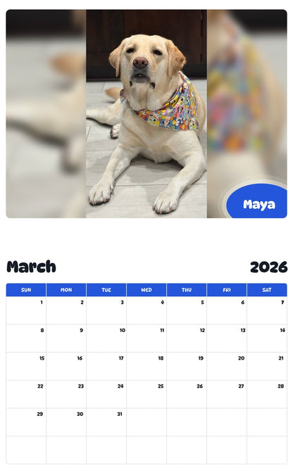 November 2025 - October 2026 Maya - Pawidols Pet Calendar
