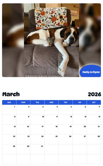 November 2025 - October 2026 Molly & Flynn - Pawidols Pet Calendar