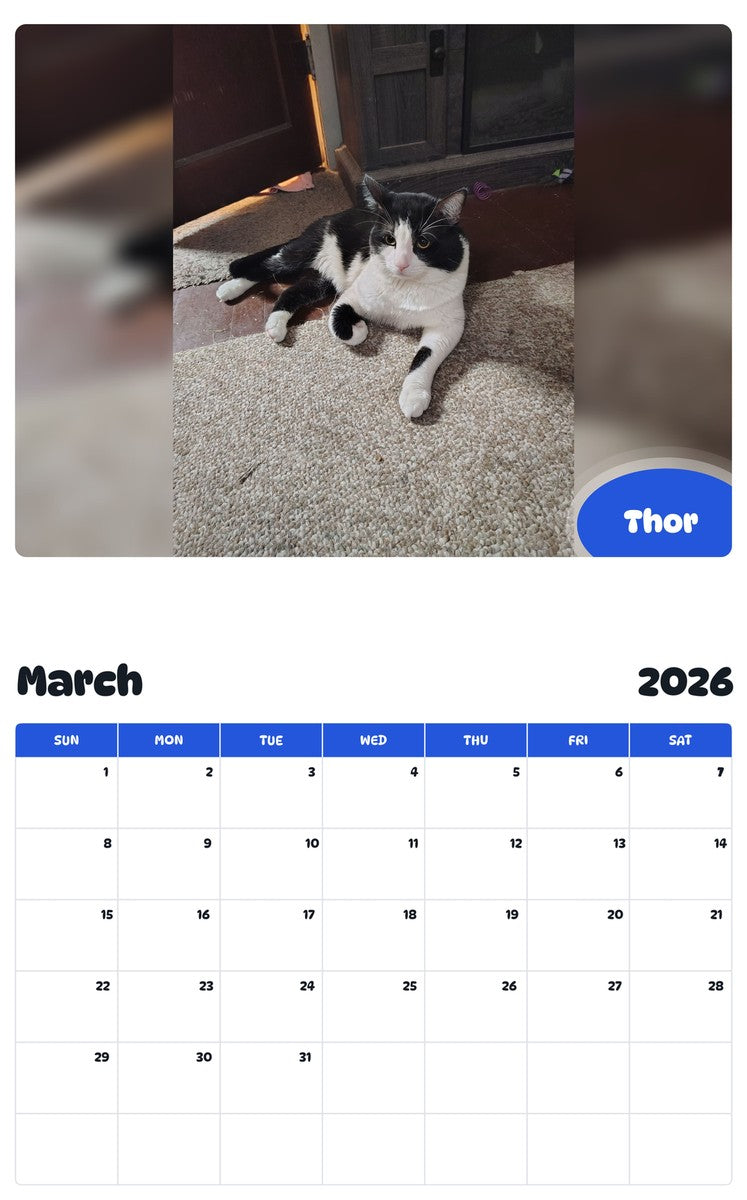 November 2025 - October 2026 Thor - Pawidols Pet Calendar