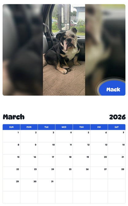November 2025 - October 2026 Mack - Pawidols Pet Calendar