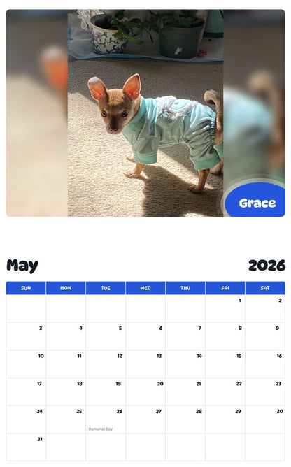 2026 - 2027 Grace - Pawidols Pet Calendar