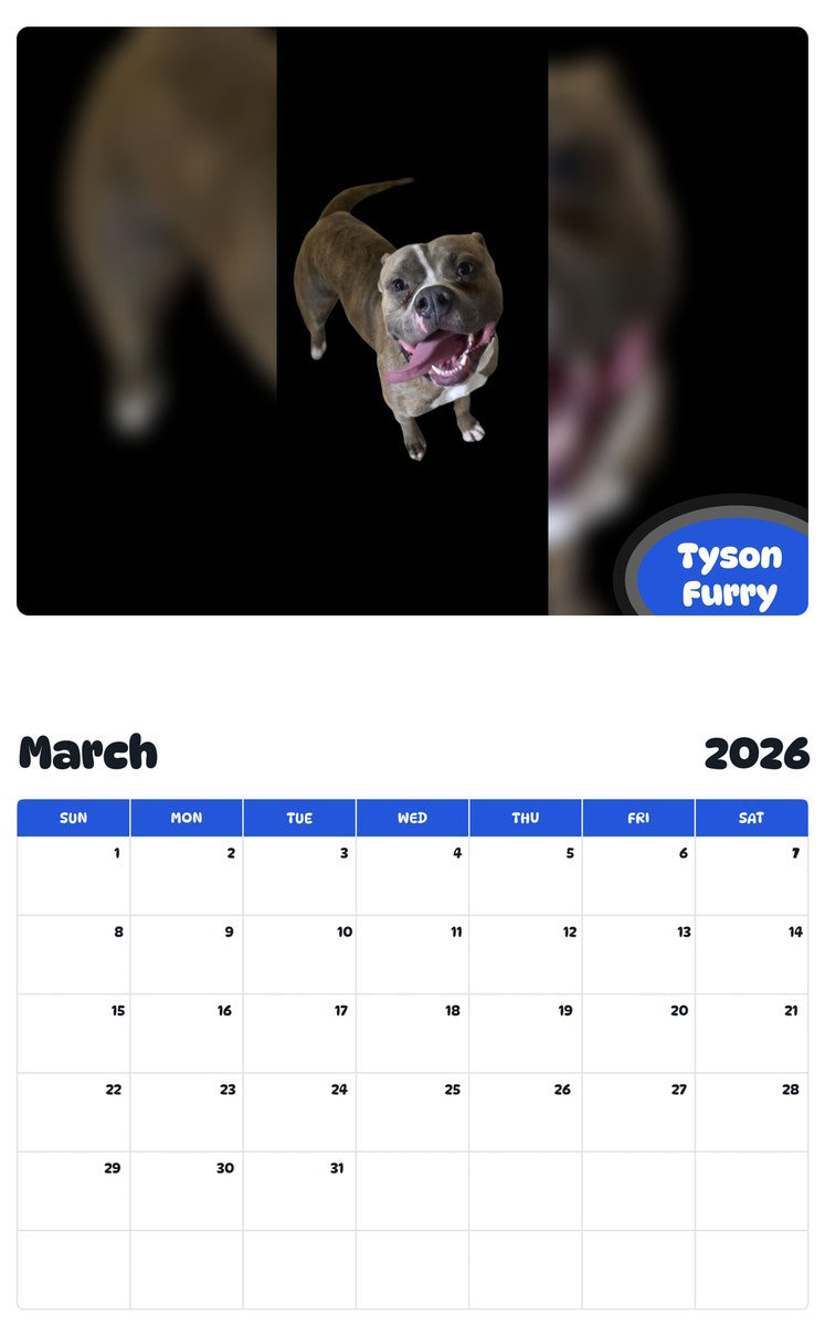 November 2025 - October 2026 Tyson Furry - Pawidols Pet Calendar