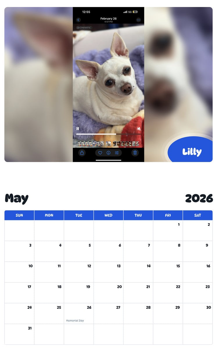 2026 - 2027 Lilly - Pawidols Pet Calendar