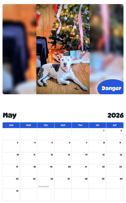 2026 - 2027 Danger - Pawidols Pet Calendar