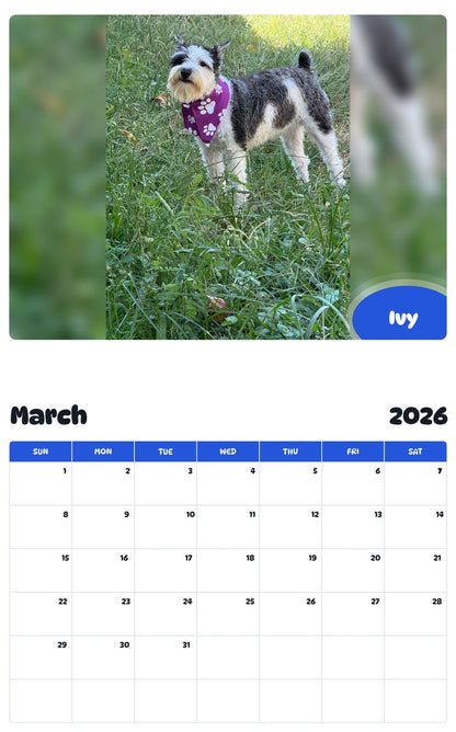November 2025 - October 2026 Ivy - Pawidols Pet Calendar