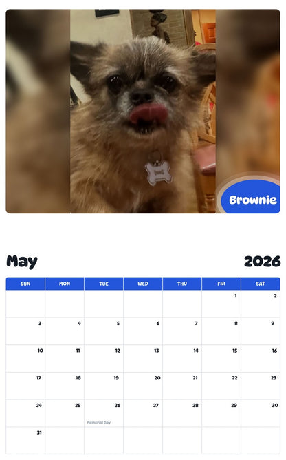 2026 - 2027 Brownie - Pawidols Pet Calendar
