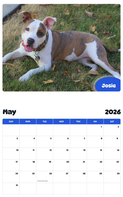 2026 - 2027 Josie - Pawidols Pet Calendar