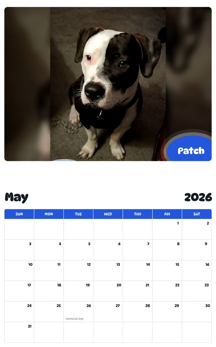 2026 - 2027 Patch - Pawidols Pet Calendar