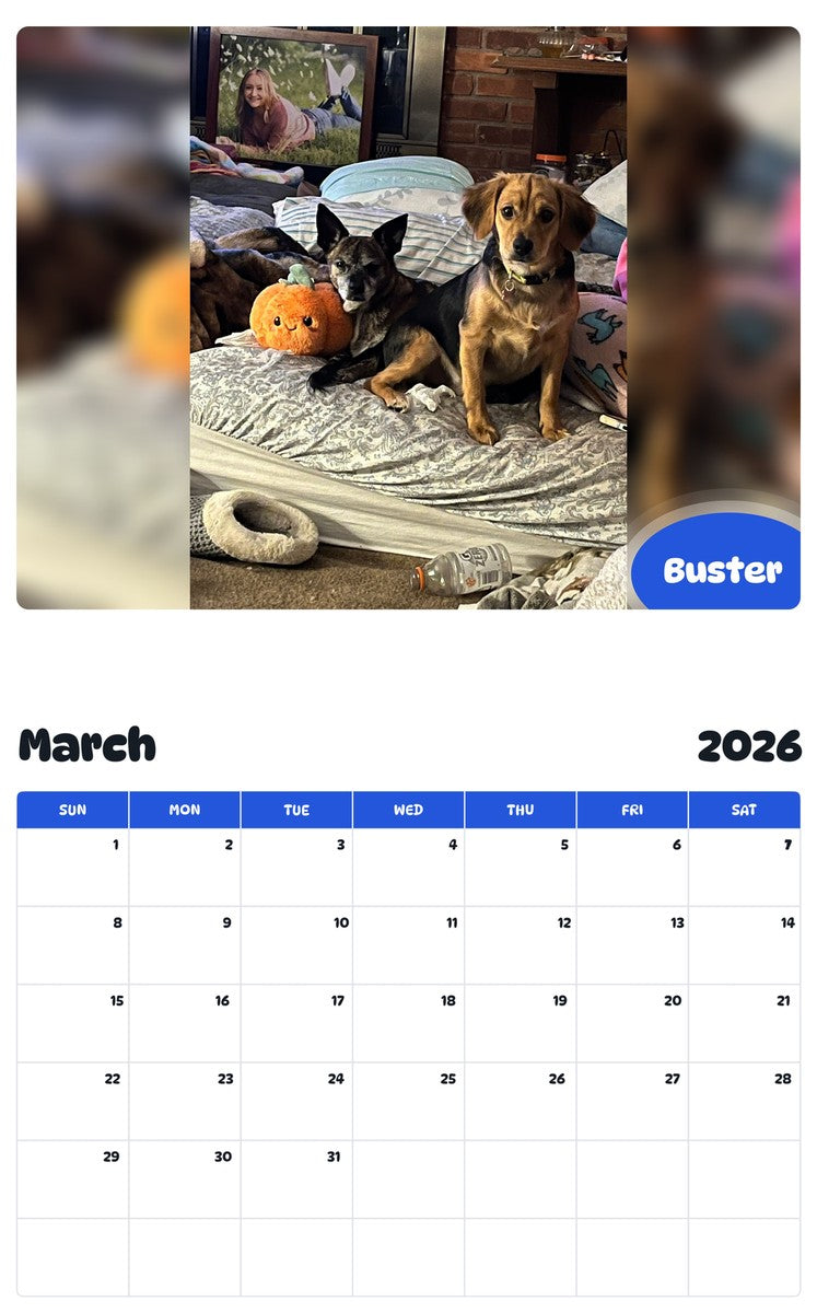 November 2025 - October 2026 Buster - Pawidols Pet Calendar