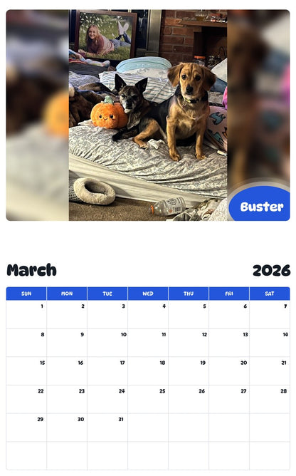 November 2025 - October 2026 Buster - Pawidols Pet Calendar