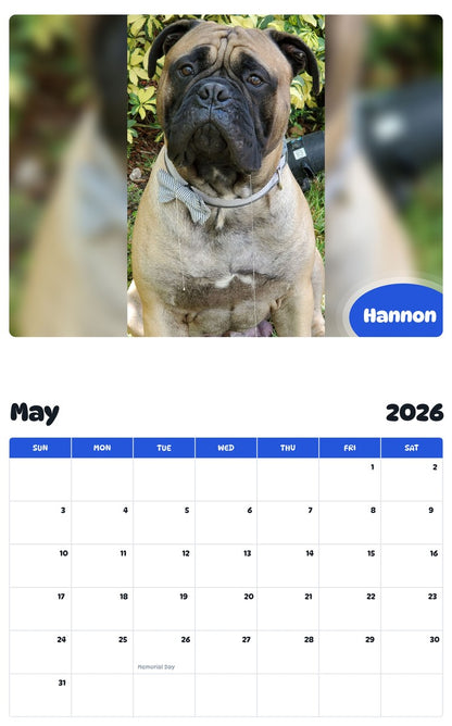 2026 - 2027 Hannon - Pawidols Pet Calendar
