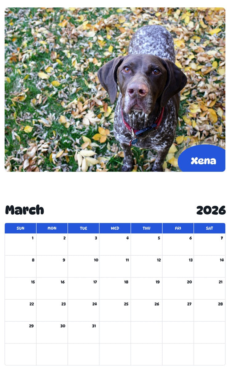 November 2025 - October 2026 Xena - Pawidols Pet Calendar