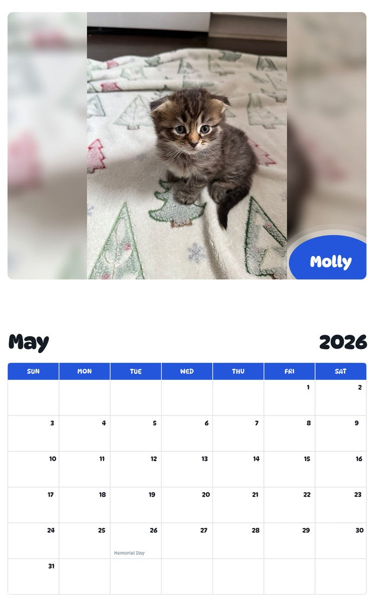 2026 - 2027 Molly - Pawidols Pet Calendar