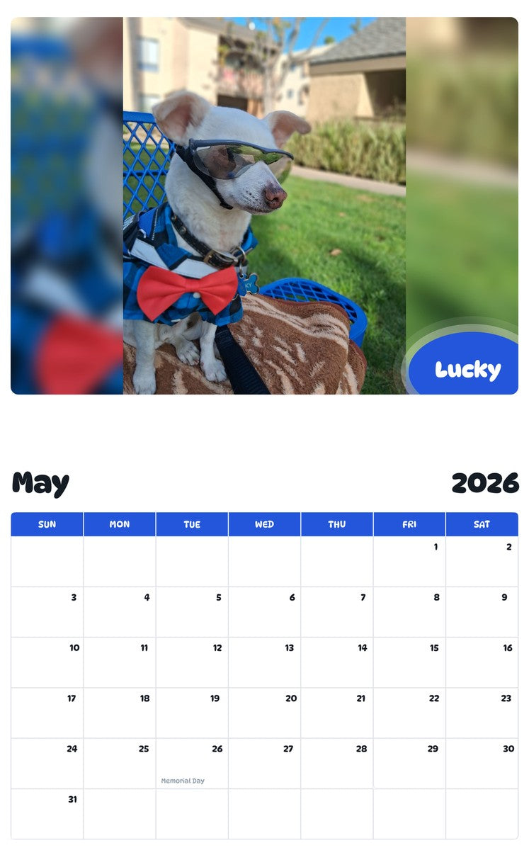 2026 - 2027 Lucky - Pawidols Pet Calendar