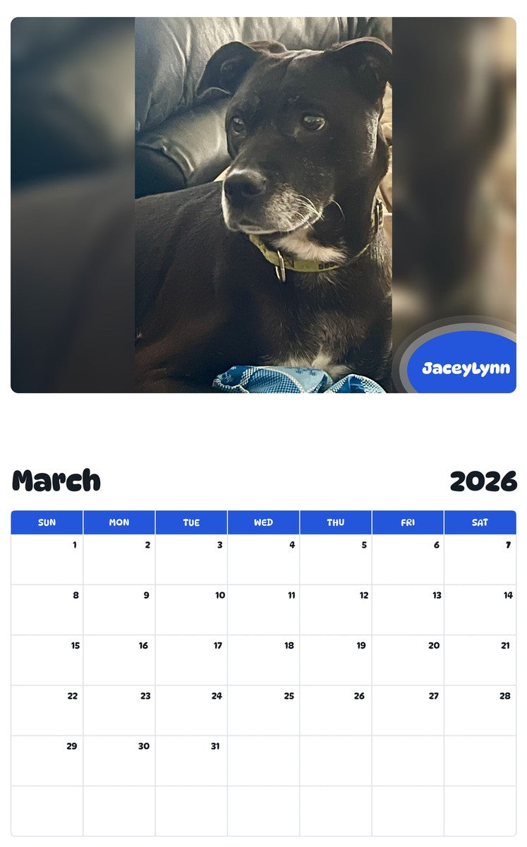 November 2025 - October 2026 JaceyLynn - Pawidols Pet Calendar