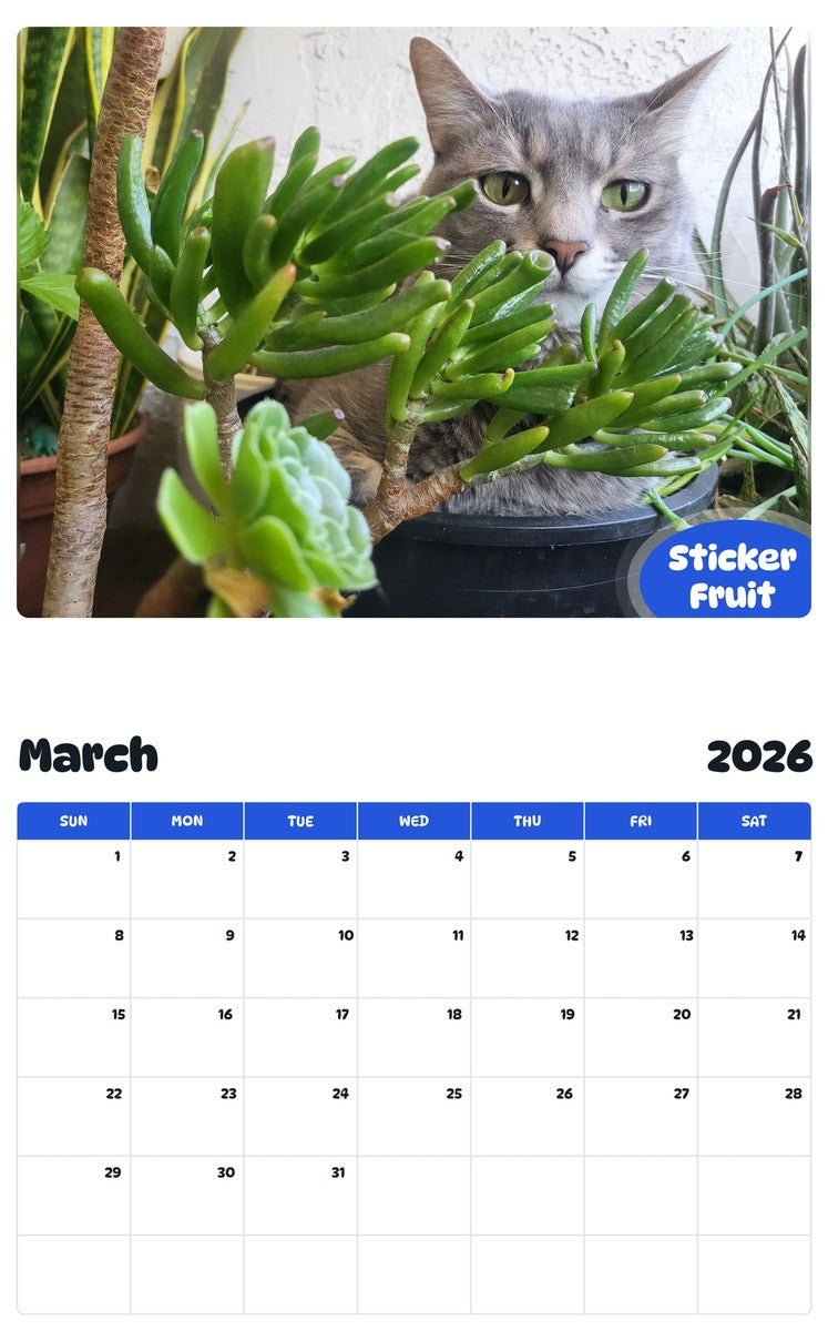 November 2025 - October 2026 Sticker Fruit - Pawidols Pet Calendar