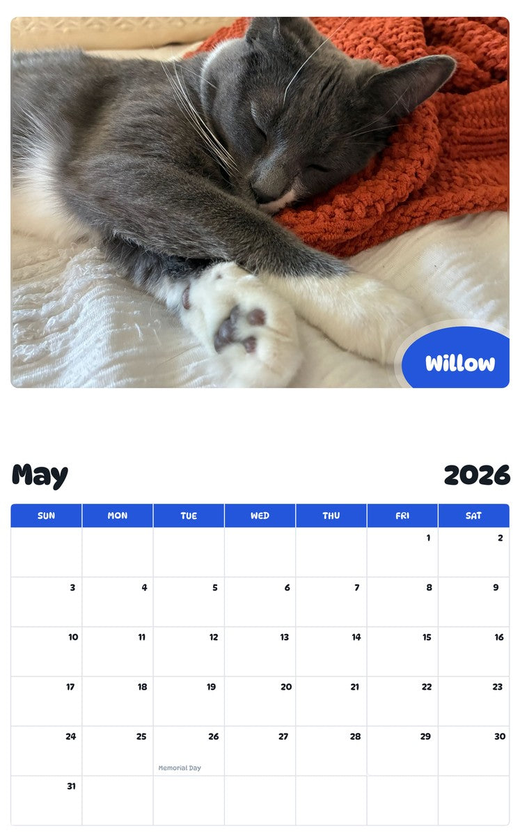 2026 - 2027 Willow - Pawidols Pet Calendar