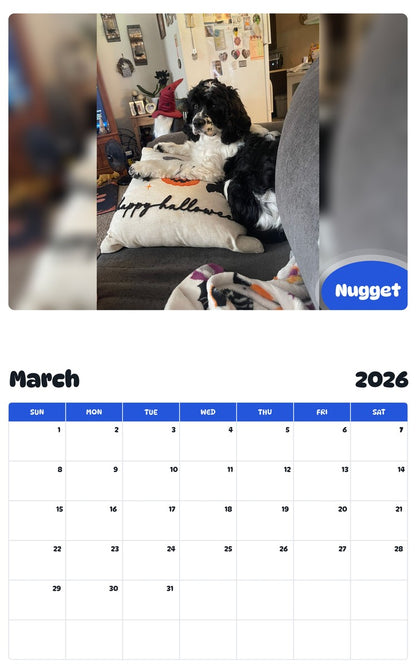 November 2025 - October 2026 Nugget - Pawidols Pet Calendar