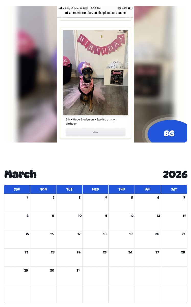 November 2025 - October 2026 BG - Pawidols Pet Calendar