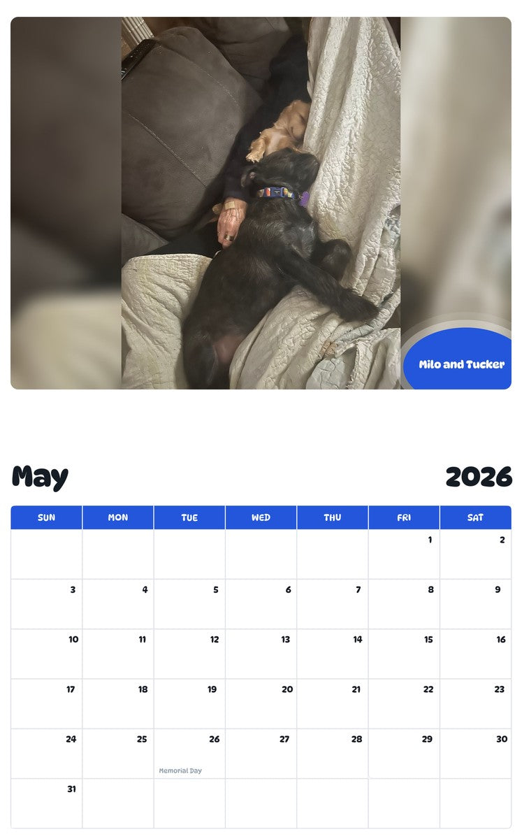 2026 - 2027 Milo and Tucker - Pawidols Pet Calendar