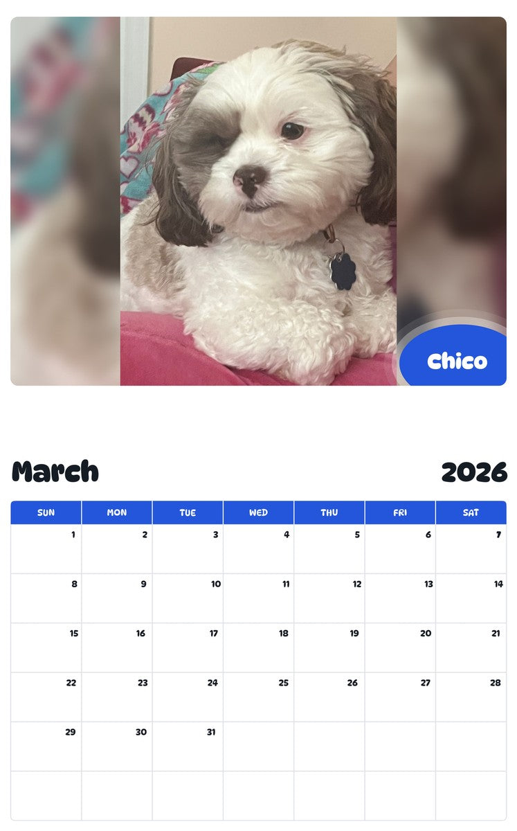 November 2025 - October 2026 Chico - Pawidols Pet Calendar