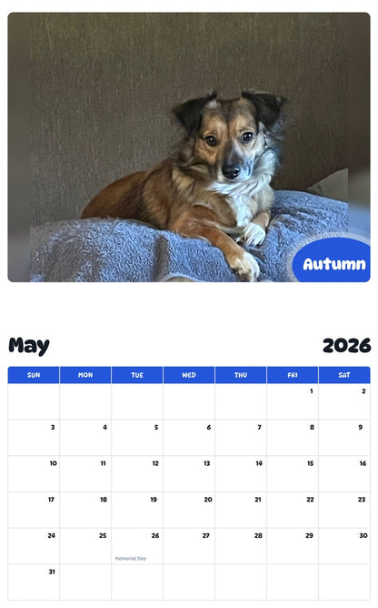 2026 - 2027 Autumn - Pawidols Pet Calendar