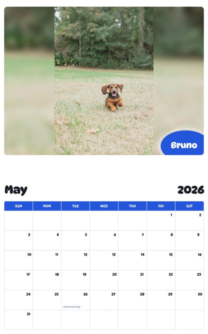 2026 - 2027 Bruno - Pawidols Pet Calendar