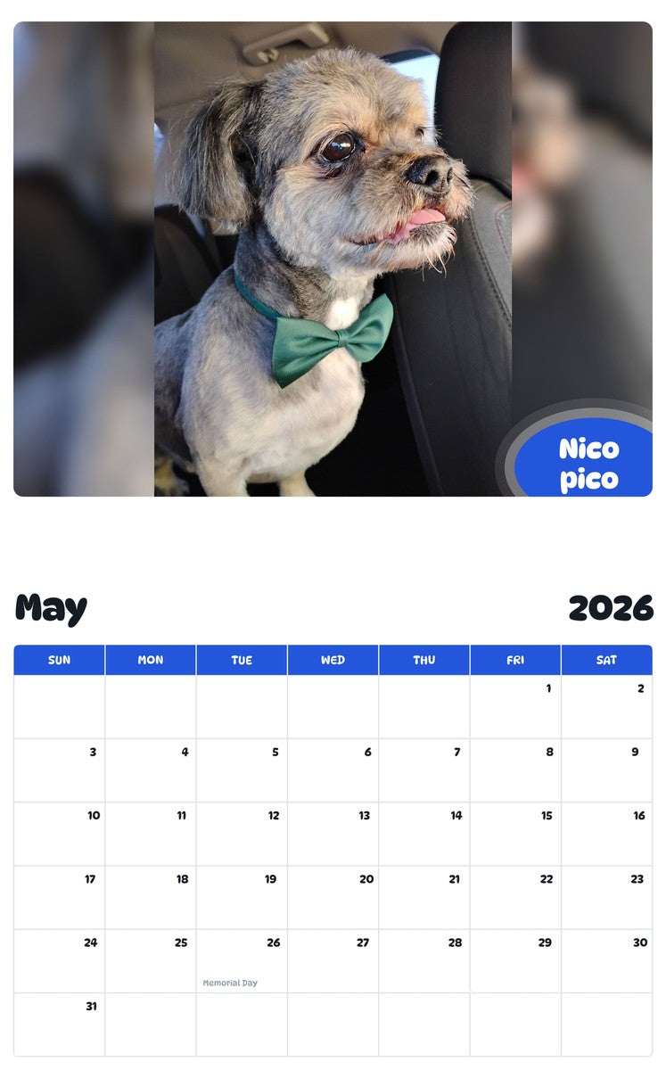 2026 - 2027 Nico pico - Pawidols Pet Calendar