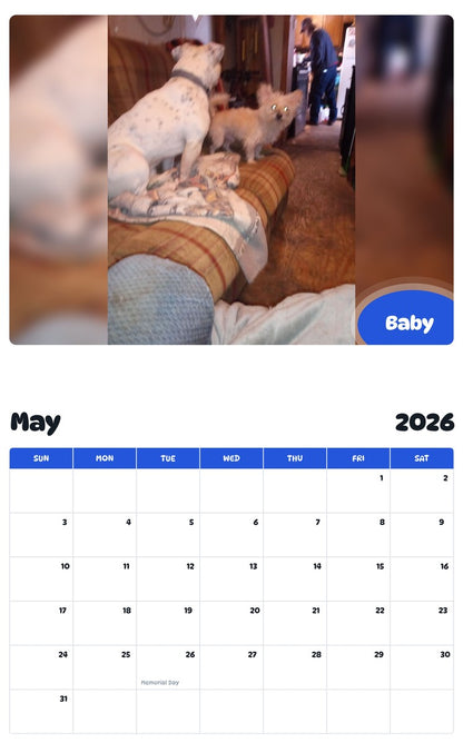 2026 - 2027 Baby - Pawidols Pet Calendar