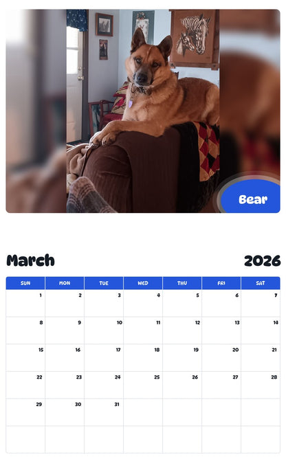 November 2025 - October 2026 Bear - Pawidols Pet Calendar