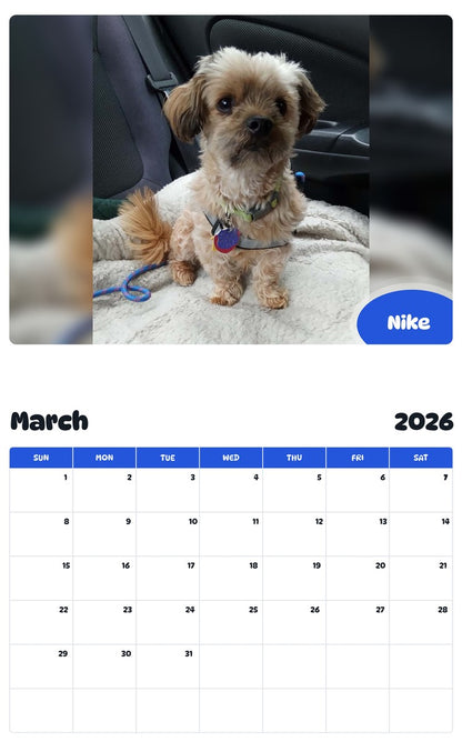 November 2025 - October 2026 Nike - Pawidols Pet Calendar