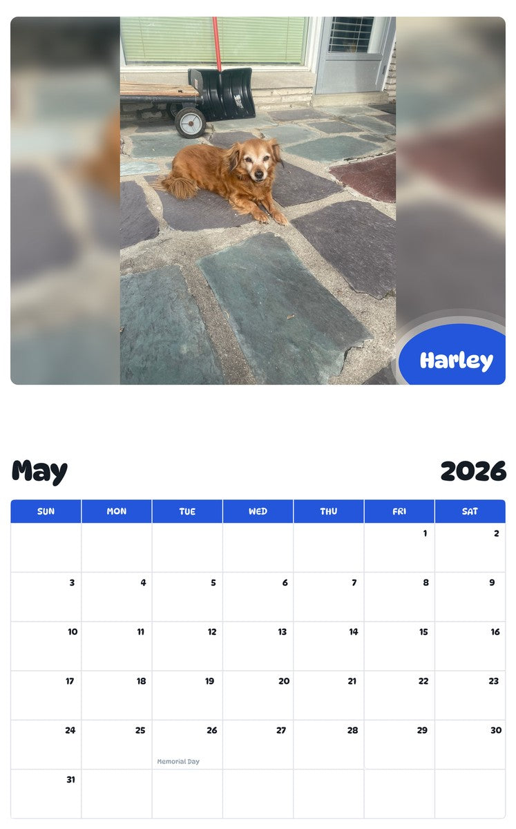 2026 - 2027 Harley - Pawidols Pet Calendar