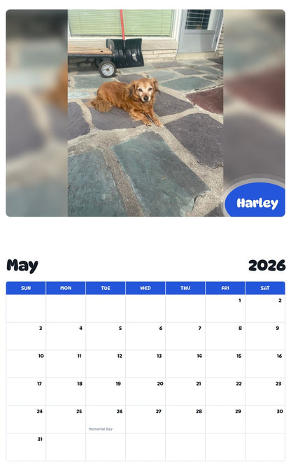 2026 - 2027 Harley - Pawidols Pet Calendar