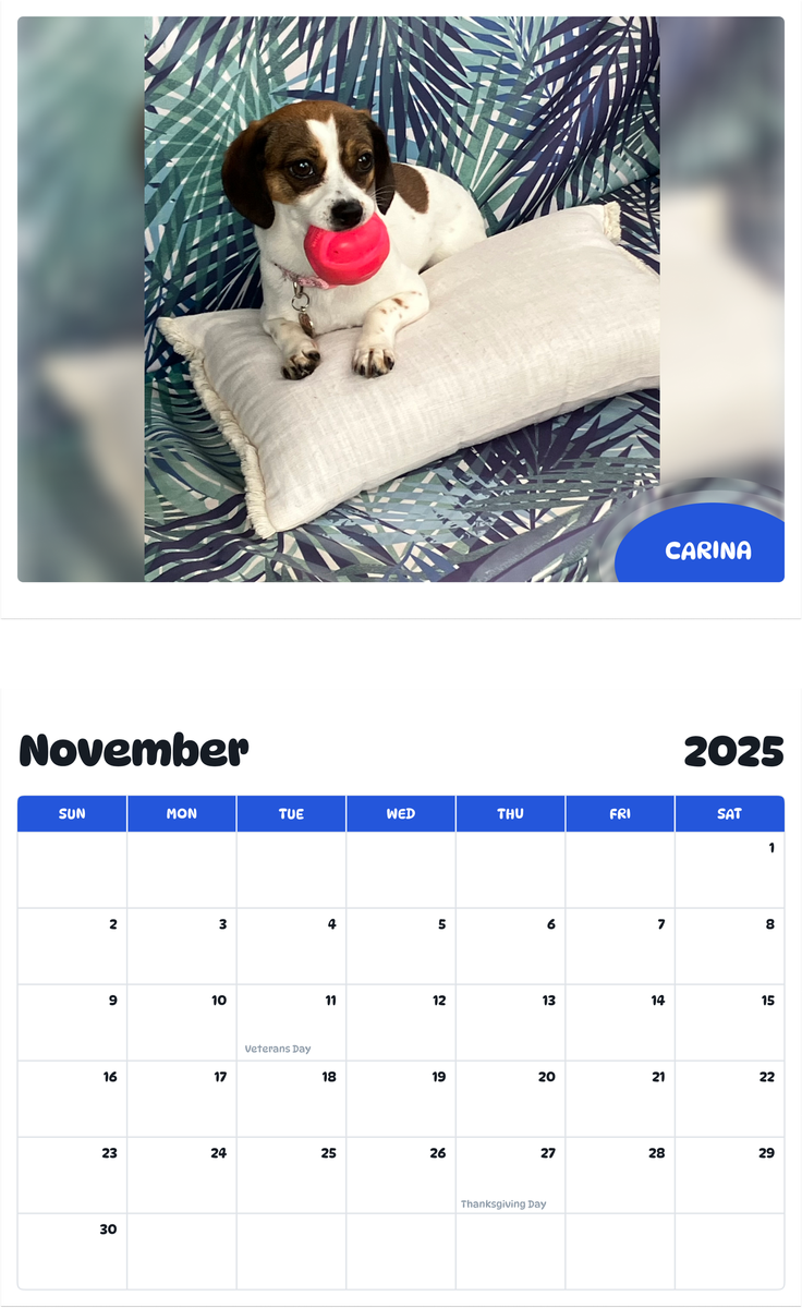July 2025 - June 2026 Carina - Pawidols Pet Calendar