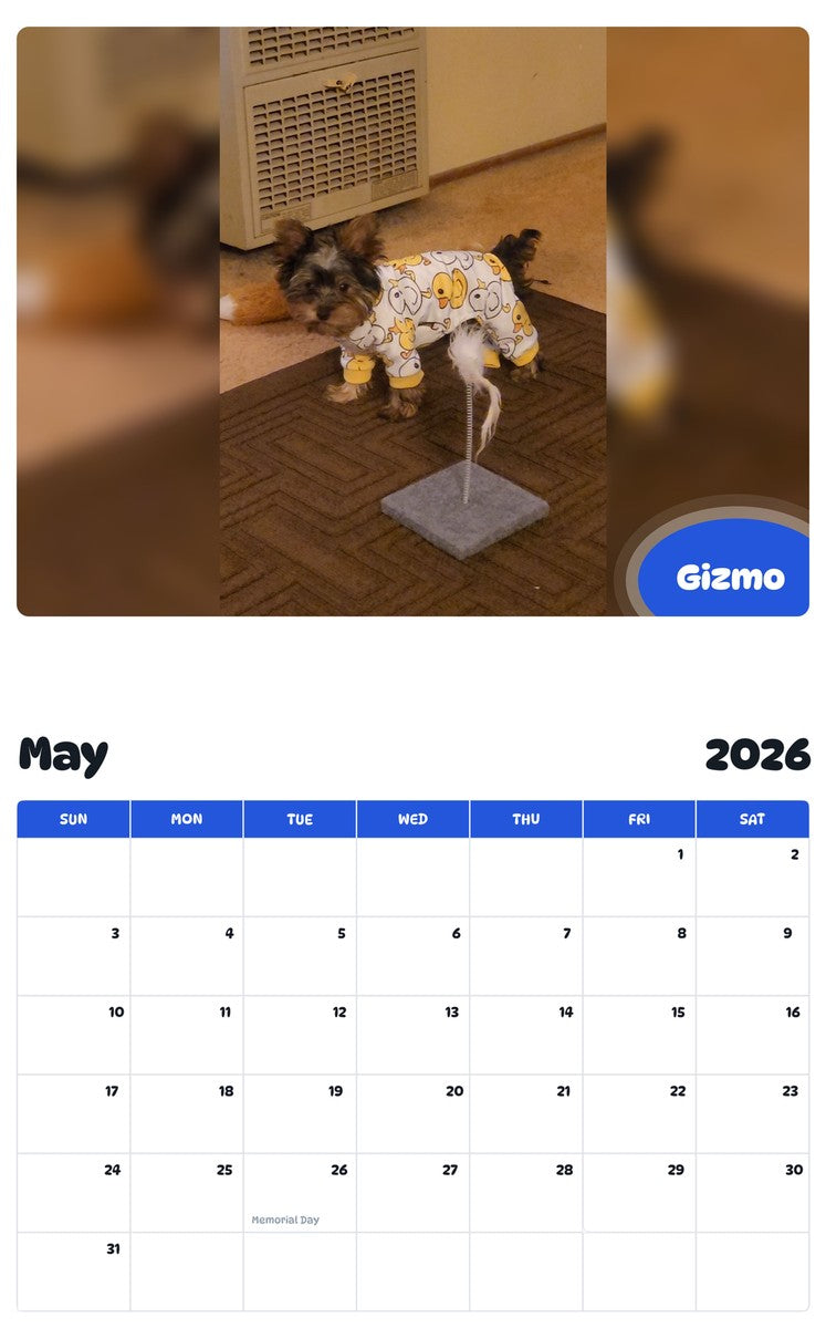 2026 - 2027 Gizmo - Pawidols Pet Calendar