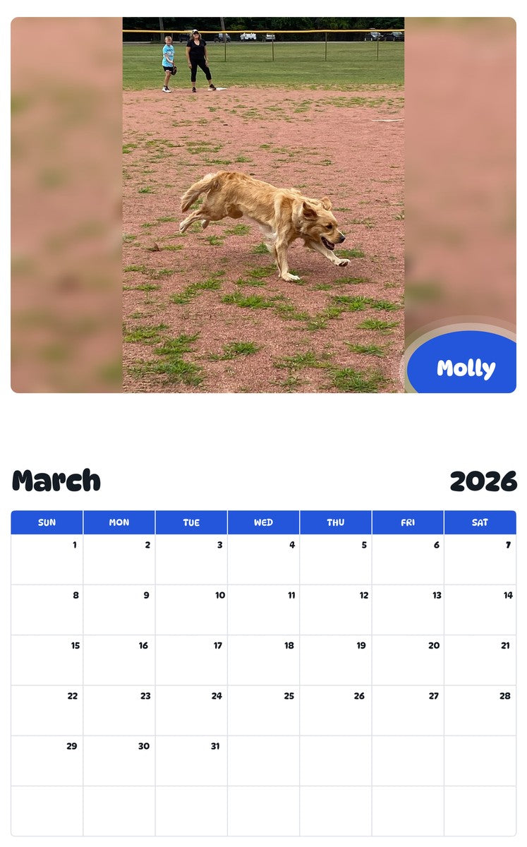 November 2025 - October 2026 Molly - Pawidols Pet Calendar