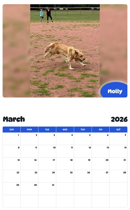 November 2025 - October 2026 Molly - Pawidols Pet Calendar