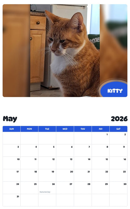 2026 - 2027 KITTY - Pawidols Pet Calendar