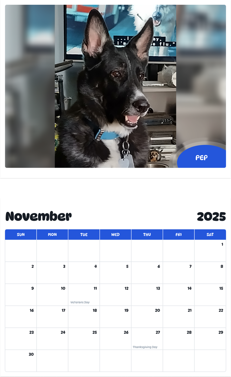 July 2025 - June 2026 PEP - Pawidols Pet Calendar