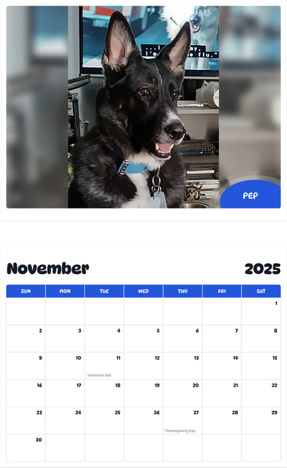 July 2025 - June 2026 PEP - Pawidols Pet Calendar