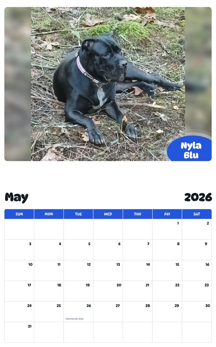 2026 - 2027 Nyla Blu - Pawidols Pet Calendar