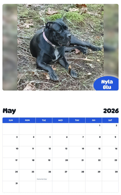 2026 - 2027 Nyla Blu - Pawidols Pet Calendar