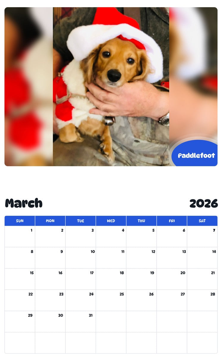November 2025 - October 2026 Paddlefoot - Pawidols Pet Calendar