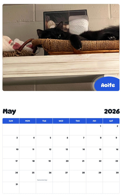 2026 - 2027 Aoife - Pawidols Pet Calendar