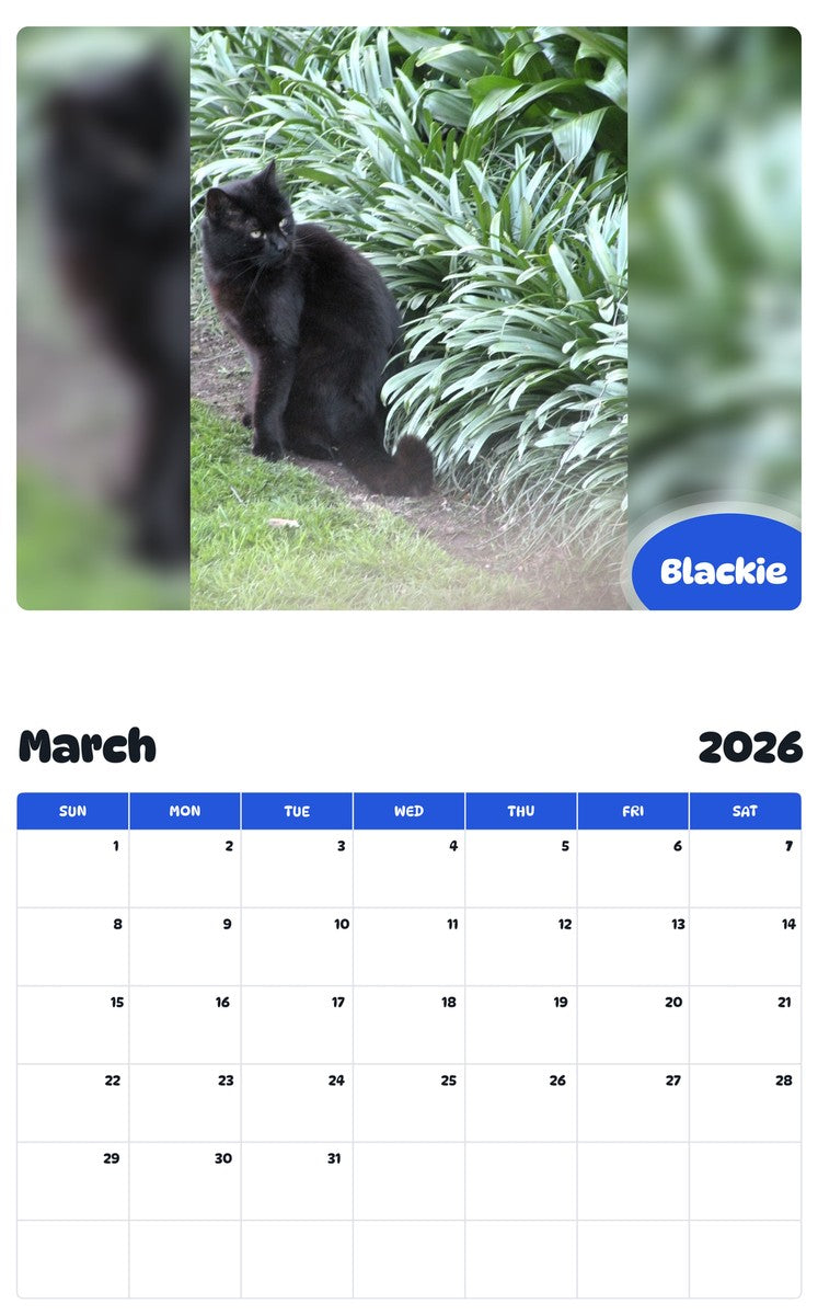 November 2025 - October 2026 Blackie - Pawidols Pet Calendar